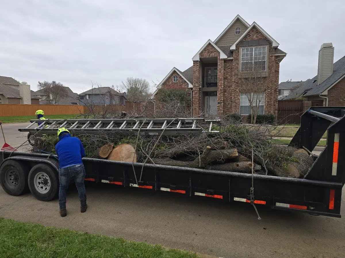 Expert Tree Removal with proper safety equipment in Tyaskin